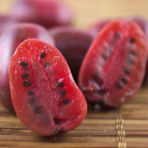 Киви arguta Kens Red