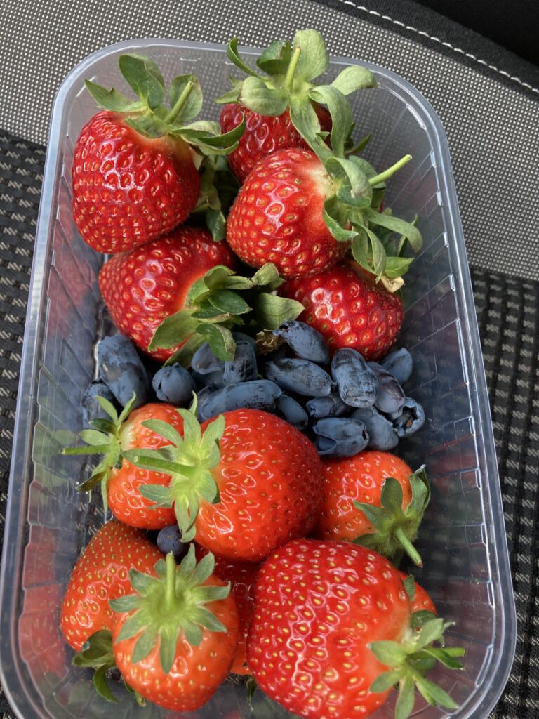 Плодни храсти